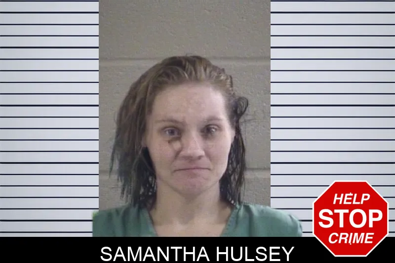 Samantha Hulsey mugshot – Whitfield County , Georgia Samantha Hulsey mugshot