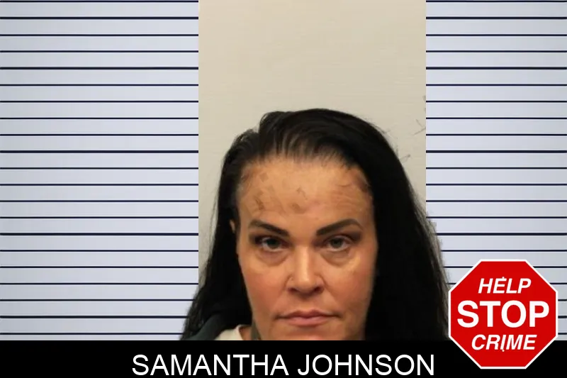 Samantha Johnson mugshot – Chatham County , Georgia Samantha Johnson mugshot