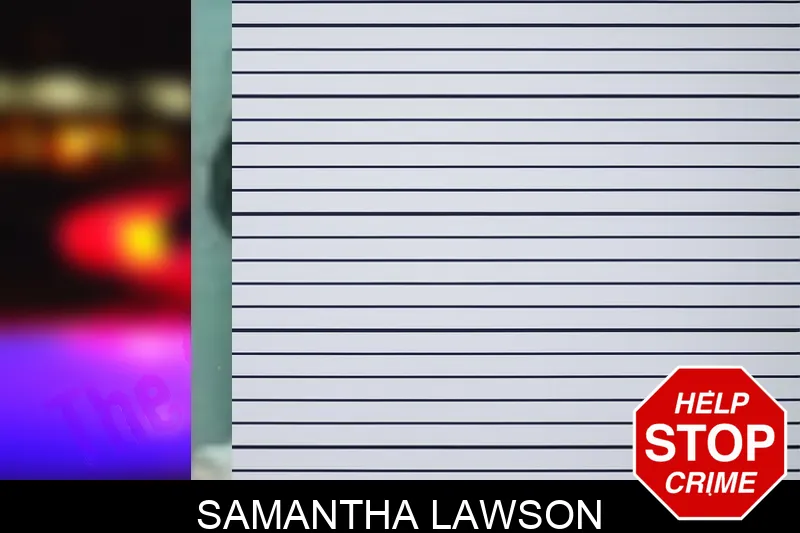 Samantha Lawson mugshot – Bleckley County , Georgia Samantha Lawson mugshot