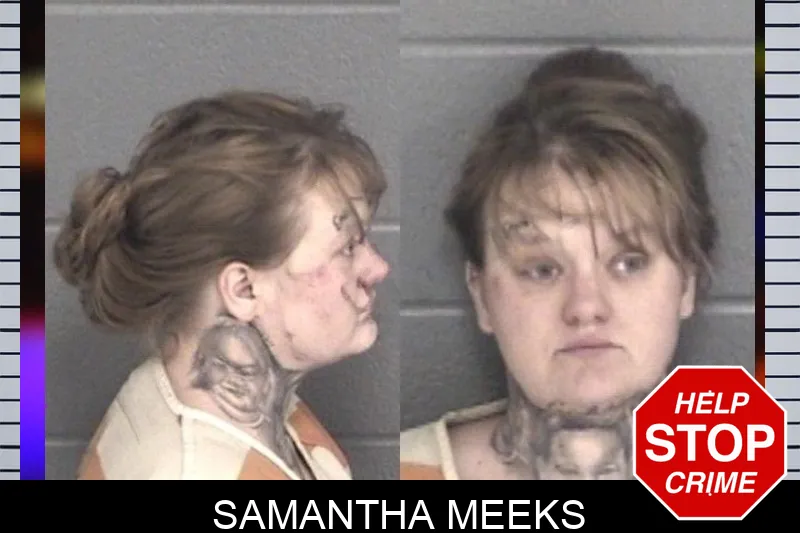 Samantha Meeks mugshot – Barrow County , Georgia Samantha Meeks mugshot