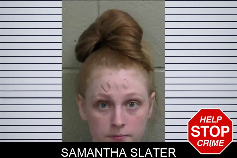 Samantha Slater mugshot – Wayne County , Georgia Samantha Slater mugshot