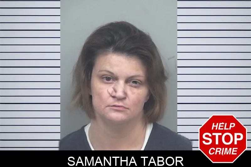Samantha Tabor mugshot – Gwinnett County , Georgia Samantha Tabor mugshot