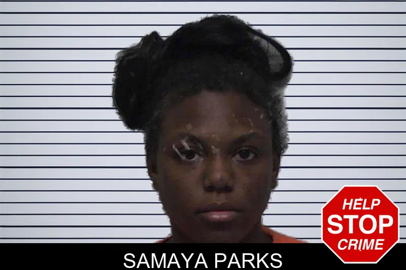 Samaya Parks mugshot – Laurens County , Georgia Samaya Parks mugshot