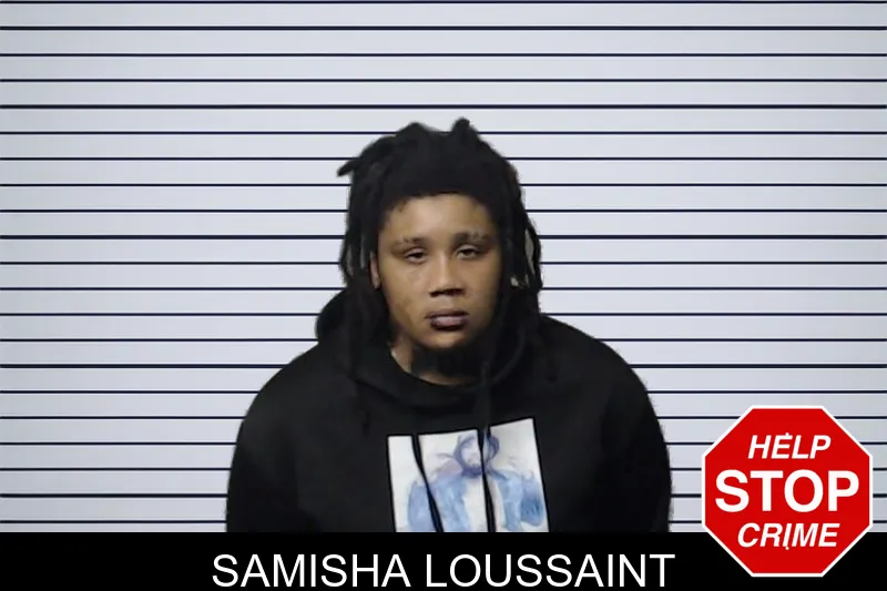 Samisha Loussaint mugshot – DeKalb County , Georgia Samisha Loussaint mugshot