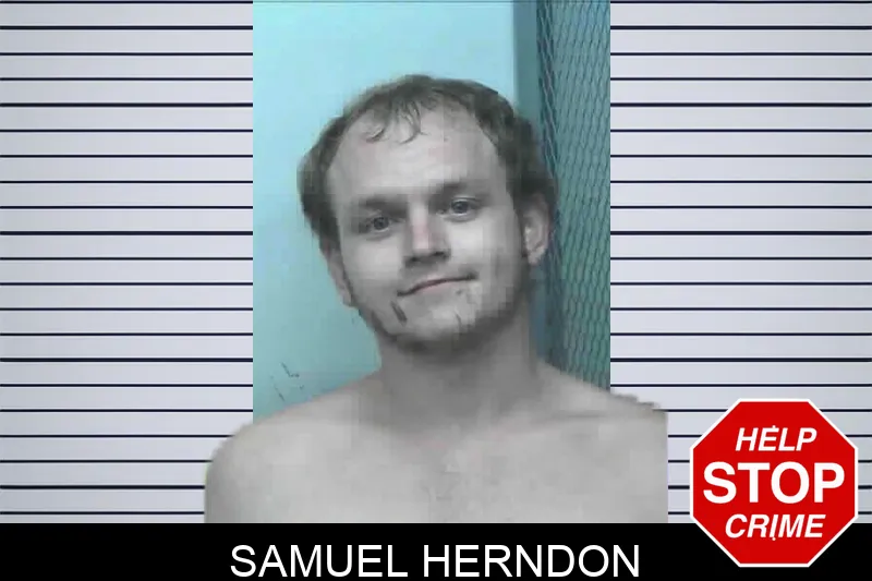 Samuel Herndon mugshot – Lanier County , Georgia Samuel Herndon mugshot