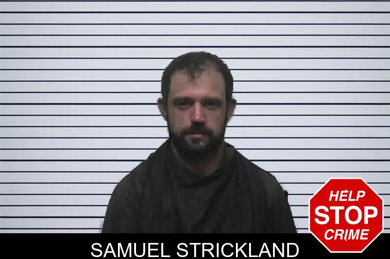 Samuel Strickland mugshot – Pike County , Georgia Samuel Strickland mugshot