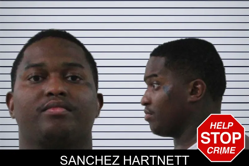 Sanchez Hartnett mugshot – Houston County , Georgia Sanchez Hartnett mugshot
