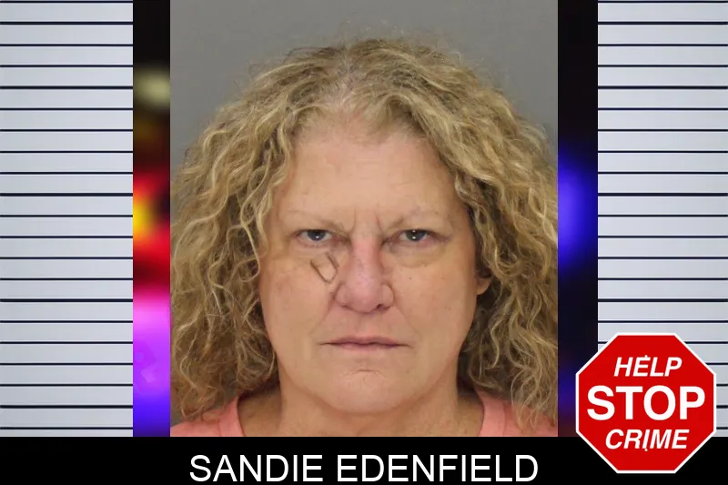 Sandie Edenfield mugshot