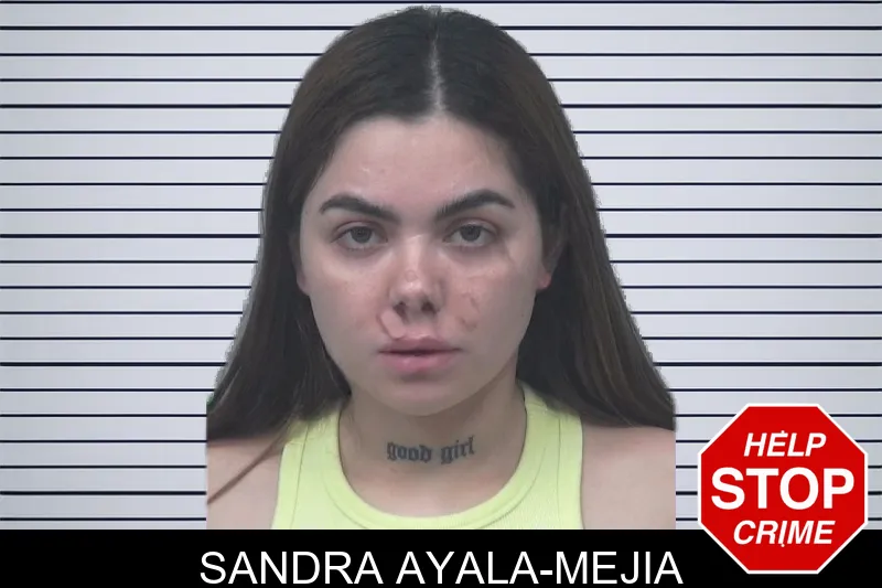 Sandra Ayala-Mejia mugshot – Gwinnett County , Georgia Sandra Ayala-Mejia mugshot