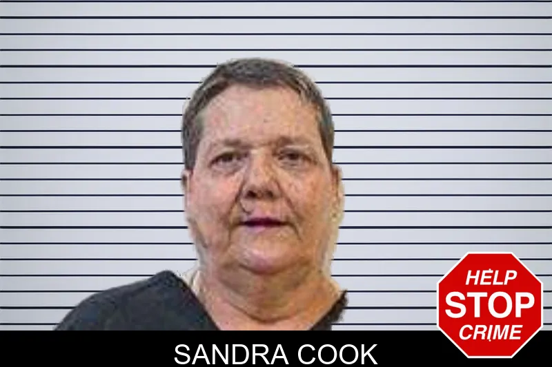 Sandra Cook mugshot