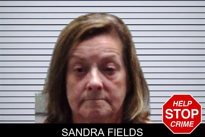 Sandra Fields mugshot – Burke County , Georgia Sandra Fields mugshot