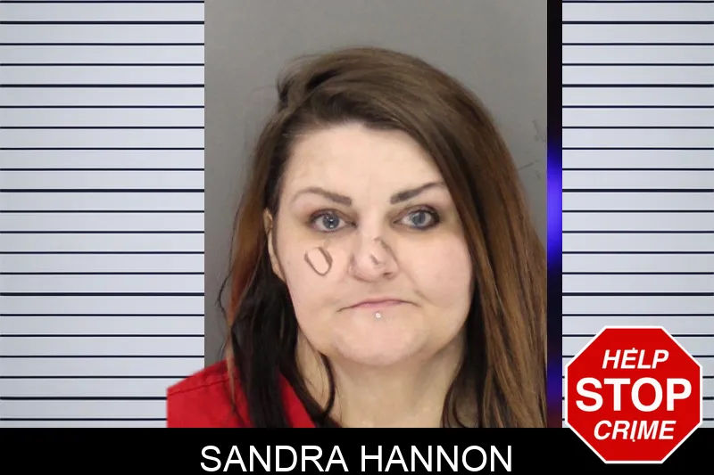Sandra Hannon mugshot