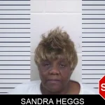 Sandra Heggs mugshot – Washington County , Georgia Sandra Heggs mugshot