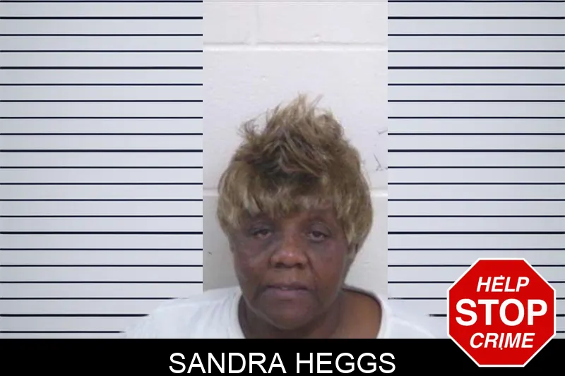 Sandra Heggs mugshot