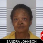 Sandra Johnson mugshot – Morgan County , Georgia Sandra Johnson mugshot