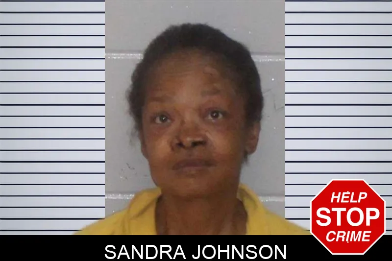 Sandra Johnson mugshot – Morgan County , Georgia Sandra Johnson mugshot