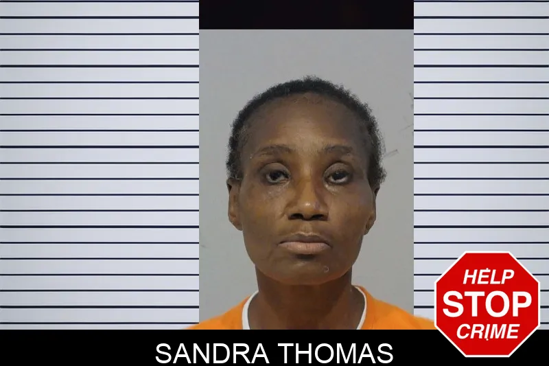 Sandra Thomas mugshot – Bibb County , Georgia Sandra Thomas mugshot