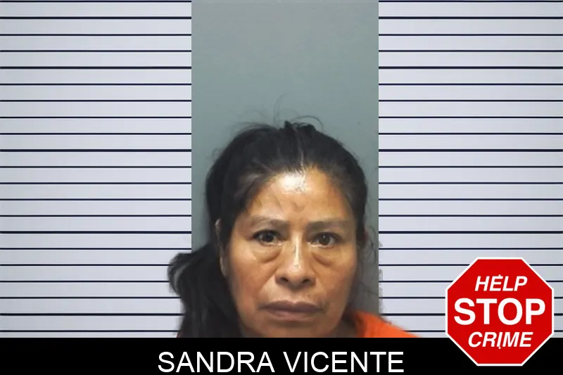 Sandra Vicente mugshot