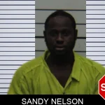 Sandy Nelson mugshot – Turner County , Georgia Sandy Nelson mugshot