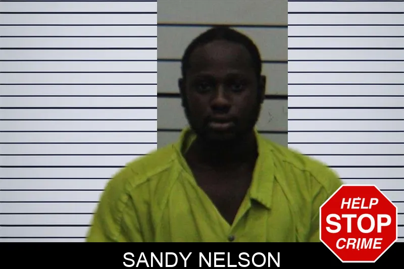 Sandy Nelson mugshot – Turner County , Georgia Sandy Nelson mugshot