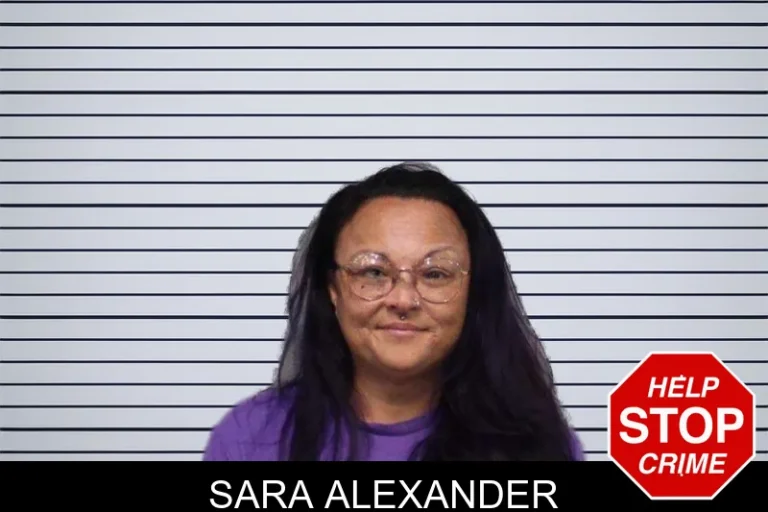 Sara Alexander mugshot – White County , Georgia Sara Alexander