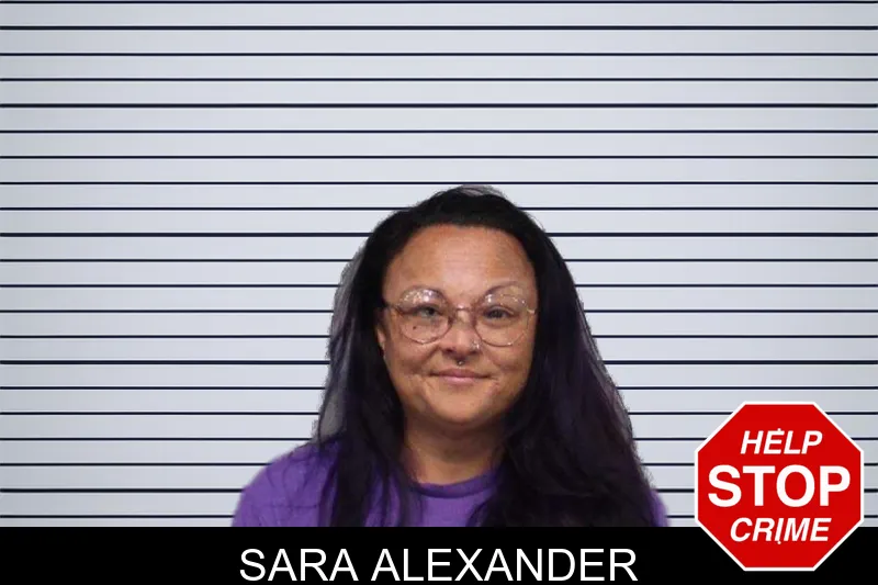 Sara Alexander mugshot – White County , Georgia Sara Alexander mugshot
