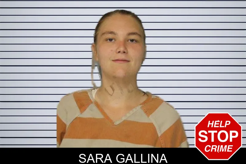 Sara Gallina mugshot – Hall County , Georgia Sara Gallina mugshot