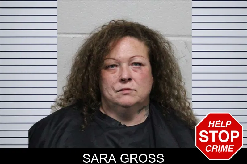 Sara Gross mugshot – Habersham County , Georgia Sara Gross mugshot