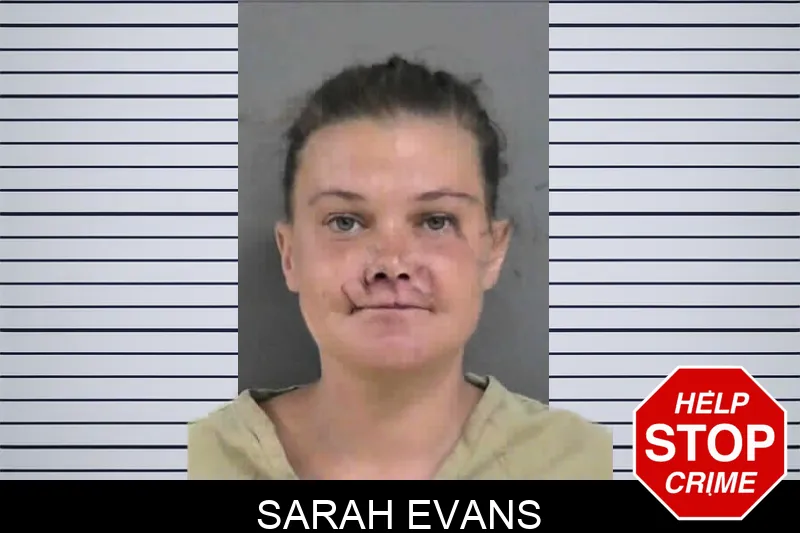 Sarah Evans mugshot