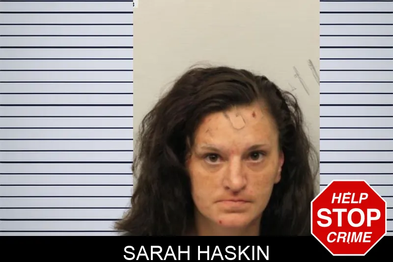 Sarah Haskin mugshot – Chatham County , Georgia Sarah Haskin mugshot