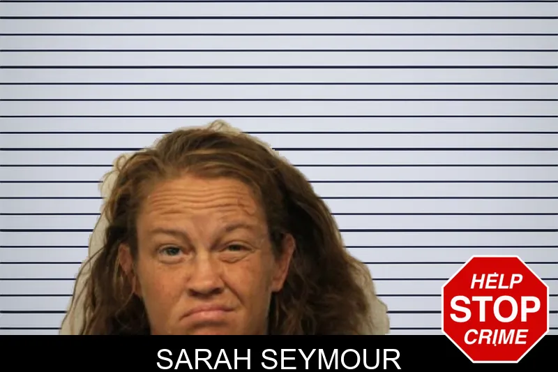 Sarah Seymour mugshot – Chatham County , Georgia Sarah Seymour mugshot