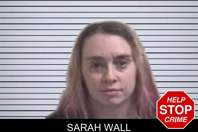 Sarah Wall mugshot – Henry County , Georgia Sarah Wall mugshot