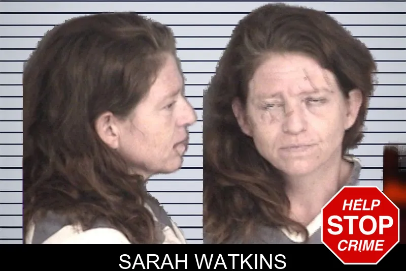 Sarah Watkins mugshot – Barrow County , Georgia Sarah Watkins mugshot