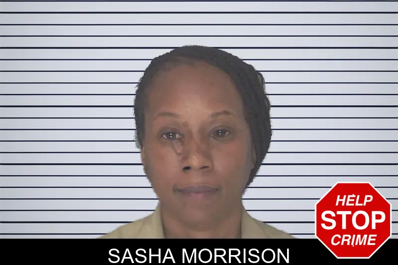 Sasha Morrison mugshot – Douglas County , Georgia Sasha Morrison mugshot