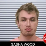 Sasha Wood mugshot – Bulloch County , Georgia Sasha Wood mugshot