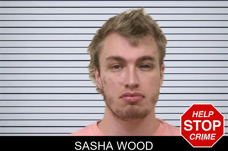 Sasha Wood mugshot