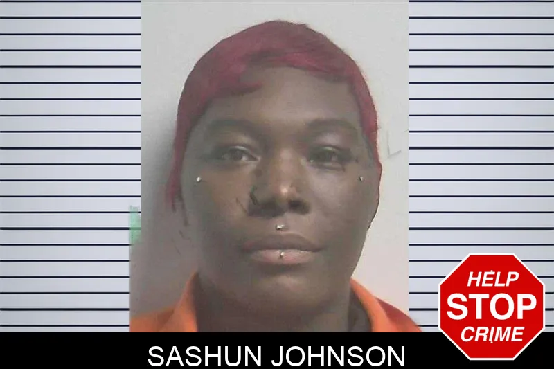 Sashun Johnson mugshot