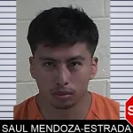 Saul Mendoza-Estrada mugshot – Fannin County , Georgia Saul Mendoza-Estrada mugshot