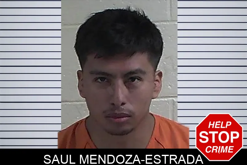 Saul Mendoza-Estrada mugshot – Fannin County , Georgia Saul Mendoza-Estrada mugshot