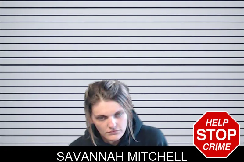 Savannah Mitchell mugshot – DeKalb County , Georgia Savannah Mitchell mugshot