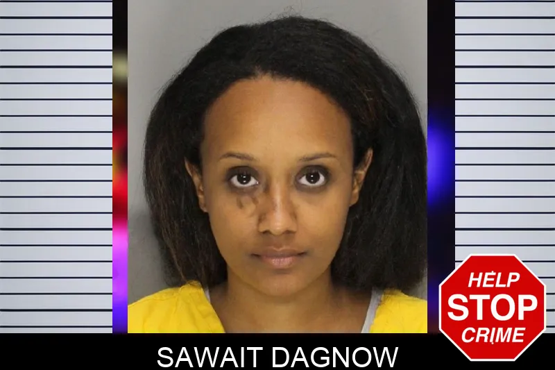 Sawait Dagnow mugshot