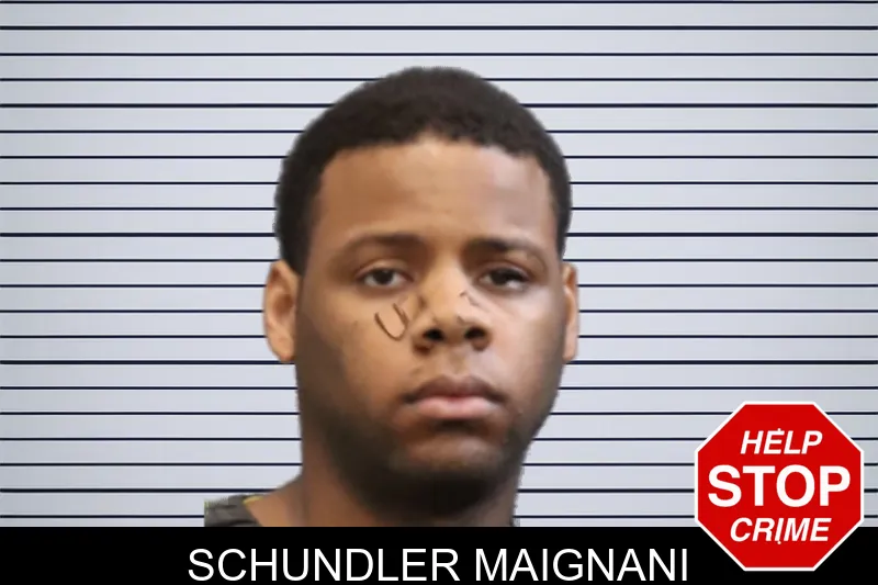 Schundler Maignani mugshot – Forsyth County , Georgia Schundler Maignani mugshot