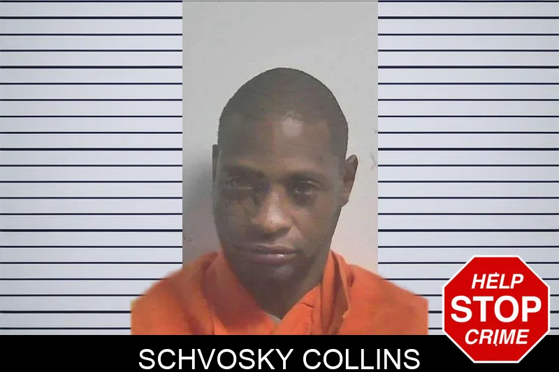 Schvosky Collins mugshot – Colquitt County , Georgia Schvosky Collins mugshot