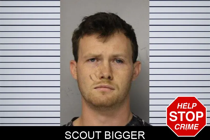 Scout Bigger mugshot – Hall County , Georgia Scout Bigger mugshot