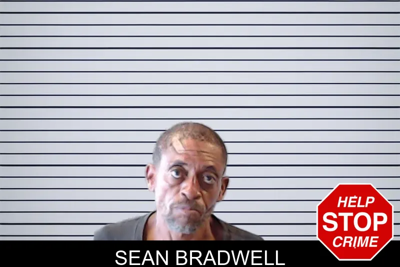 Sean Bradwell mugshot – DeKalb County , Georgia Sean Bradwell mugshot