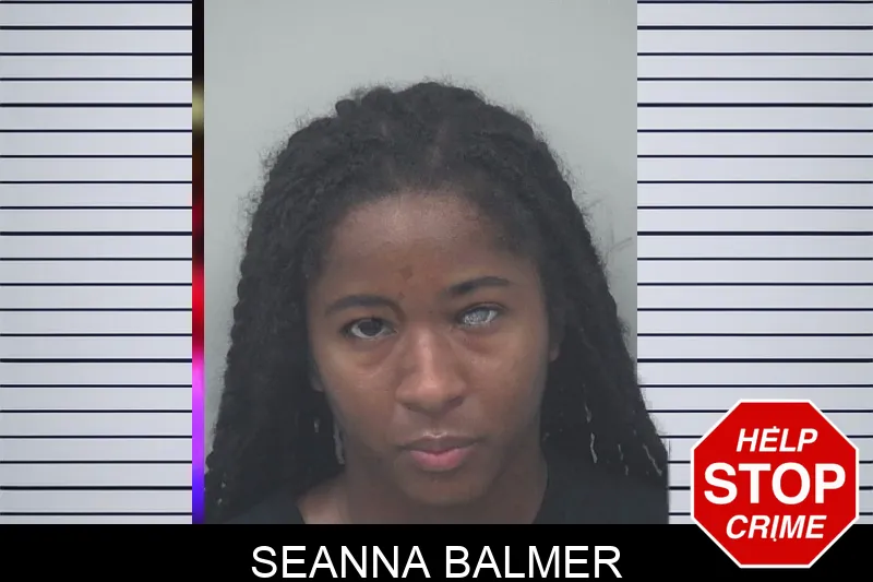 Seanna Balmer mugshot – Gwinnett County , Georgia Seanna Balmer mugshot