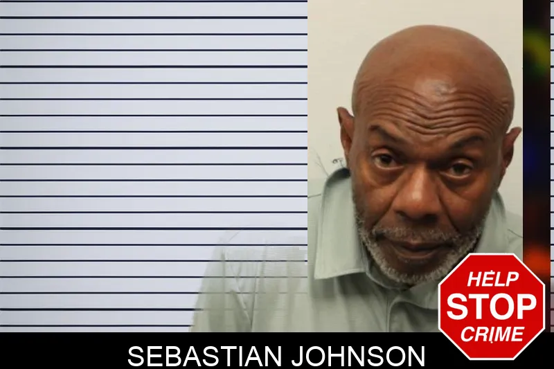 Sebastian Johnson mugshot – Chatham County , Georgia Sebastian Johnson mugshot