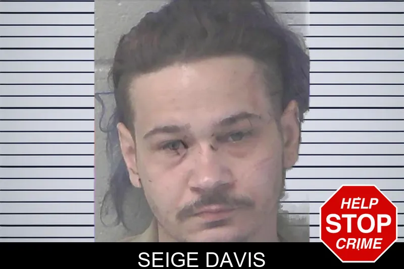 Seige Davis mugshot – Newton County , Georgia Seige Davis mugshot