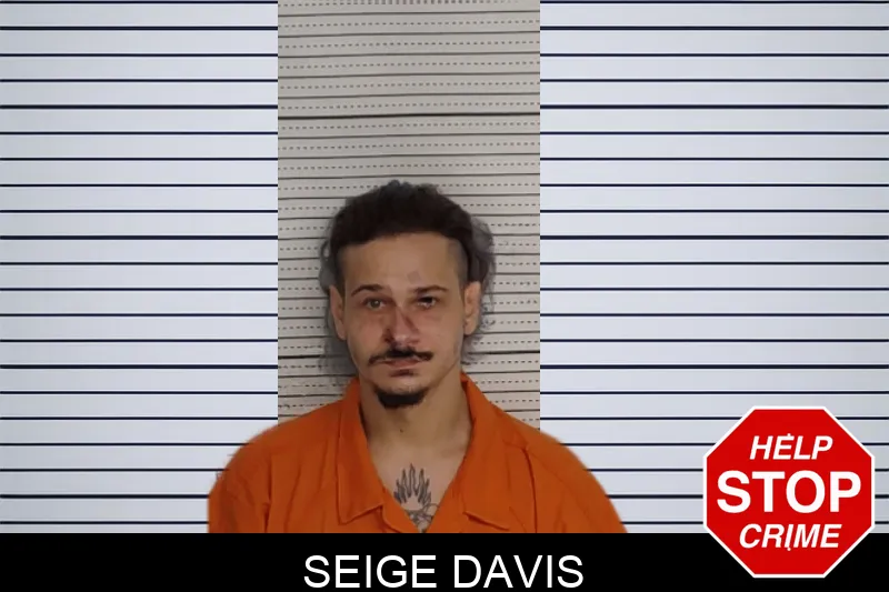 Seige Davis mugshot – Rockdale County , Georgia Seige Davis mugshot
