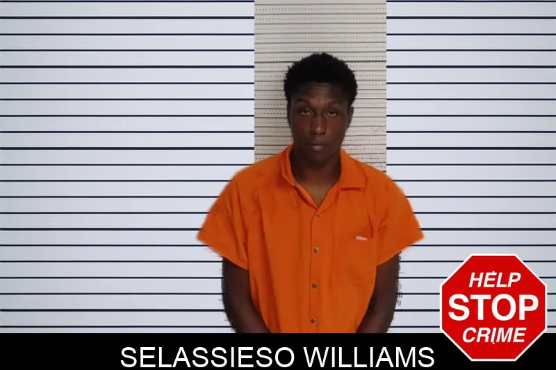 Selassieso Williams mugshot – Rockdale County , Georgia Selassieso Williams mugshot
